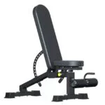 Incline Decline Dumbell Bench