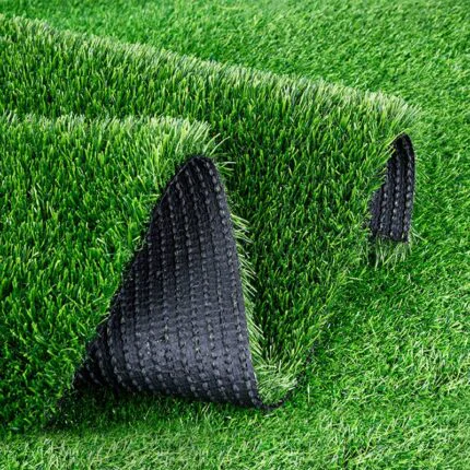 Turf Grass