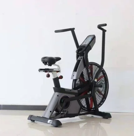 Commercial Assault Air Bike