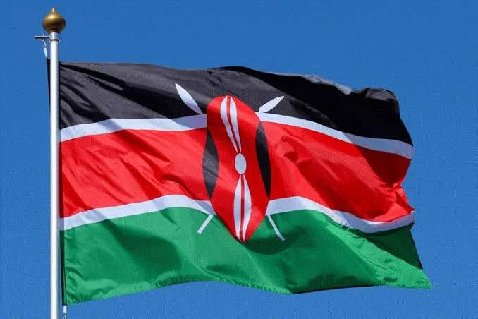 Large Size Kenyan Flag 48" by 72" - Image 1